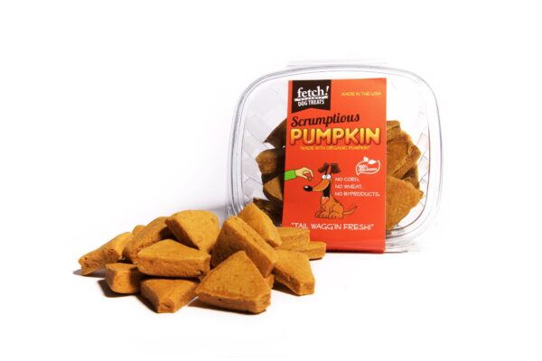 fetch-scrumptious-pumpkin-top-web